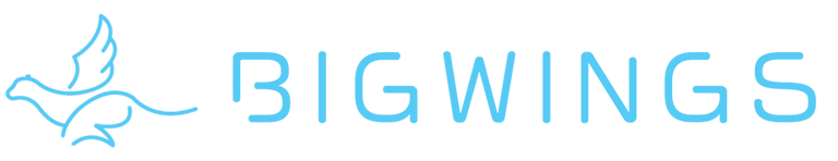 BIG WINGS公式サイト